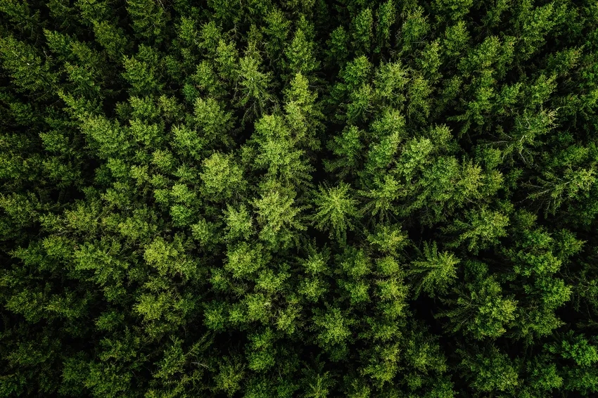 Fulham Palace Pharmacy