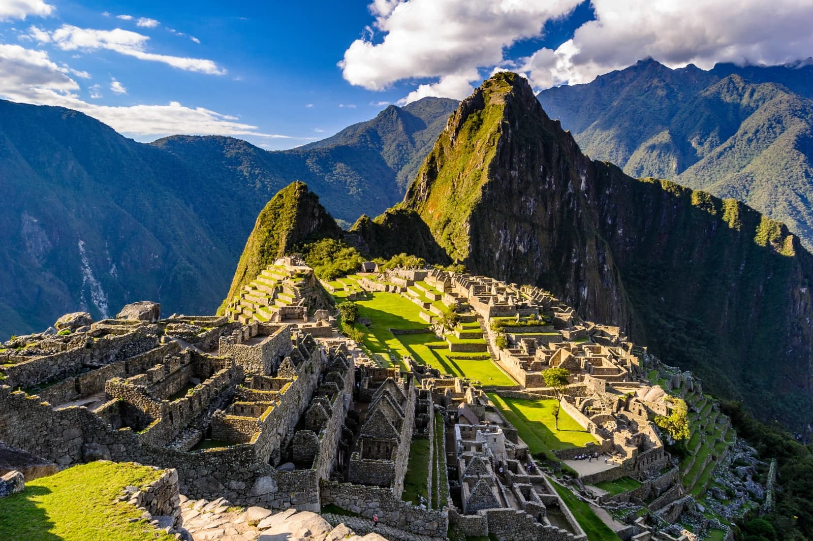 Vaccines you need for South America: yellow fever, typhoid, and more