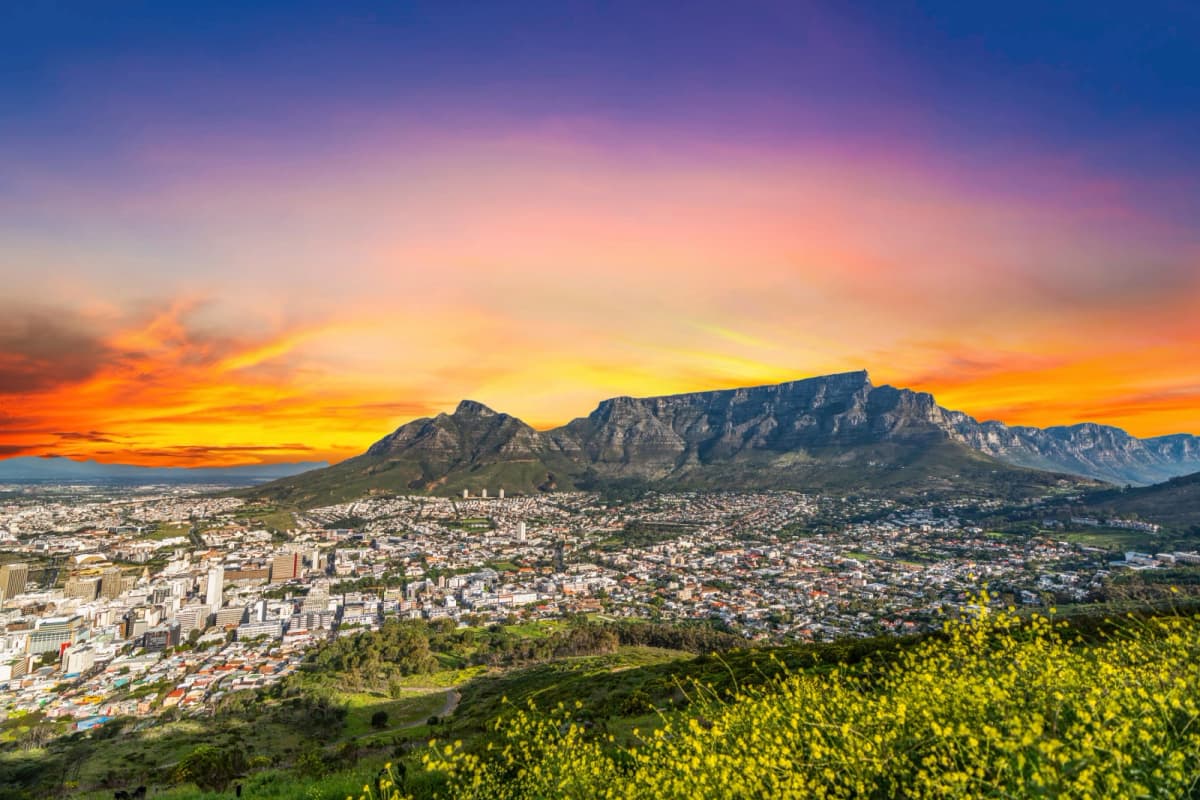 Do I Need Vaccinations to Travel to South Africa?