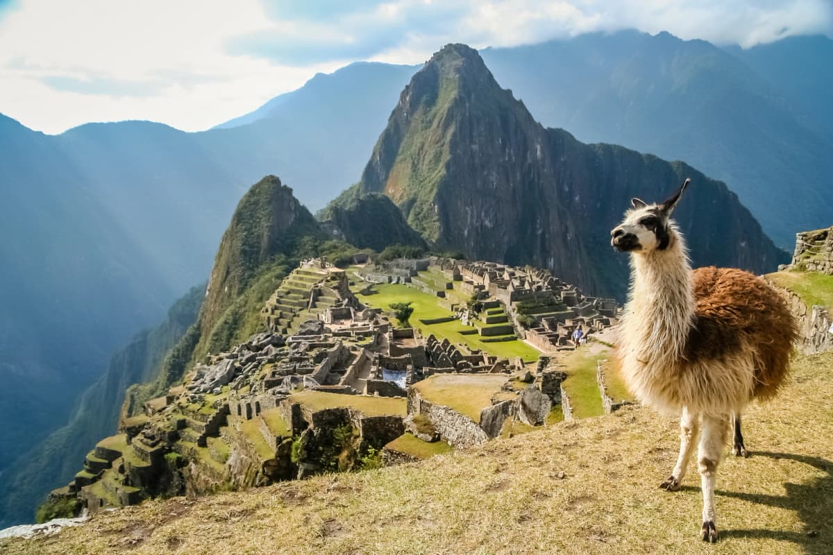 What Vaccines Do I Need for South America?